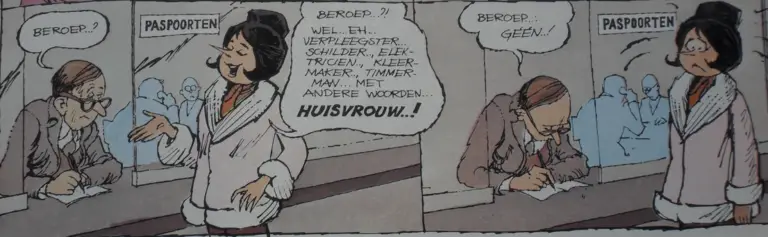 huisvrouw beroep