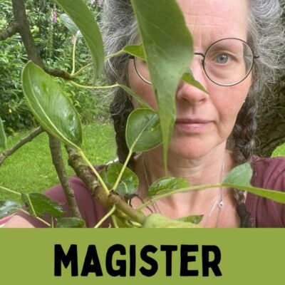 magister